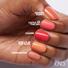 Kép 4/5 - CND Uninhibited, Shells In The Sand, Charm, Catch Of The Day és Desert Poppy színek