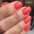 Kép 2/4 - CND Shellac Tropix